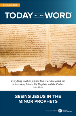 Seeing Jesus in the Minor Prophets