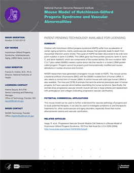 Mouse Model of Hutchinson-Gilford Progeria Syndrome and Vascular Abnormalities