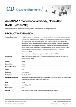 Anti-SPA17 Monoclonal Antibody, Clone 4C7 (CABT-22184MH) This Product Is for Research Use Only and Is Not Intended for Diagnostic Use