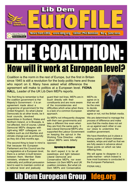 European Newsletter