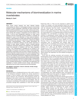 Molecular Mechanisms of Biomineralization in Marine Invertebrates Melody S