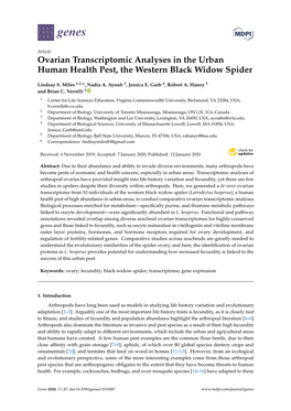 Ovarian Transcriptomic Analyses in the Urban Human Health Pest, the Western Black Widow Spider