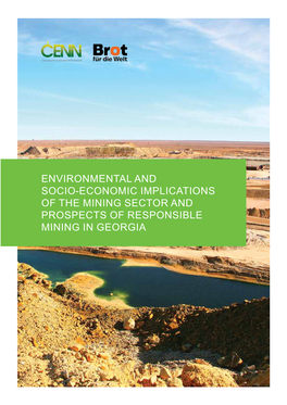 Environmental and Socio-Economic Implications of the Mining Sector