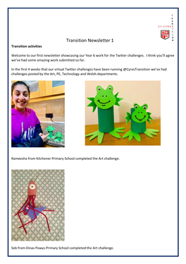 Transition Newsletter 1 Transition Activities