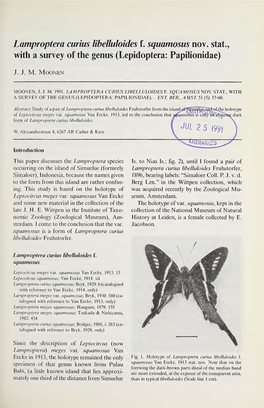 Lamproptera Curius Libelluloides F. Squamosus Nov. Stat., with a Survey of the Genus (Lepidoptera: Papilionidae)