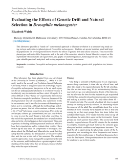 Evaluating the Effects of Genetic Drift and Natural Selection in Drosophila Melanogaster