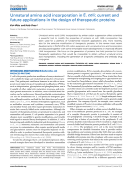 Unnatural Amino Acid Incorporation in E. Coli: Current and Future Applications in the Design of Therapeutic Proteins