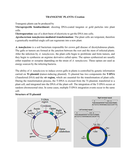 TRANSGENIC PLANTS: Creation