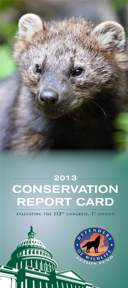 Conservation Report Card for the 113Th Congress