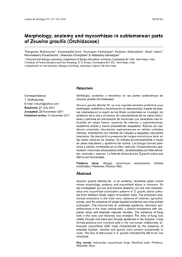 Morphology, Anatomy and Mycorrhizae in Subterranean Parts of Zeuxine Gracilis (Orchidaceae)
