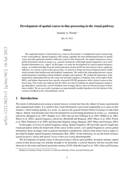 Development of Spatial Coarse-To-Fine Processing in the Visual Pathway