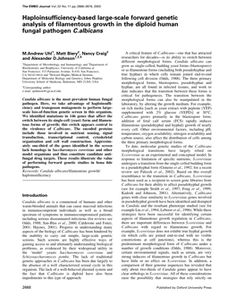 Haploinsufficiency-Based Large-Scale Forward Genetic Analysis Of