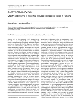 Growth and Survival of Tillandsia Flexuosa on Electrical Cables In