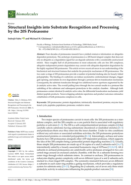 Structural Insights Into Substrate Recognition and Processing by the 20S Proteasome