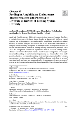 Feeding in Amphibians: Evolutionary Transformations and Phenotypic Diversity As Drivers of Feeding System Diversity