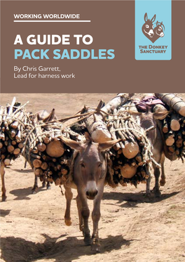 A GUIDE to PACK SADDLES by Chris Garrett, Lead for Harness Work Index Introduction