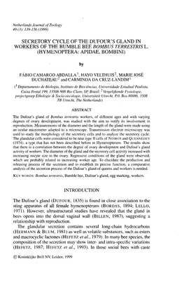 Secretory Cycle of the Dufour's Gland in Workers of the Bumble Bee Bombus Terrestris L