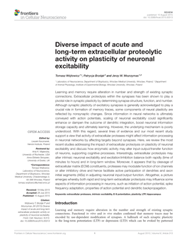 Diverse Impact of Acute and Long-Term Extracellular Proteolytic Activity on Plasticity of Neuronal Excitability