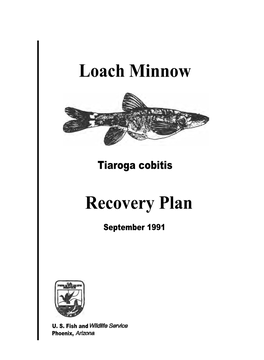 Loach Minnow Recovery Plan