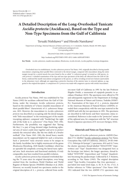 A Detailed Description of the Long-Overlooked Tunicate Ascidia Protecta (Ascidiacea), Based on the Type and Non-Type Specimens from the Gulf of California