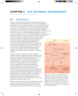 The External Environment