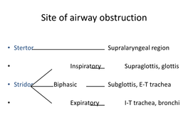 Paediatric Airway Problems