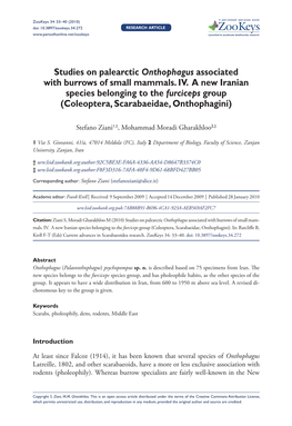 Studies on Palearctic Onthophagusassociated with Burrows of Small Mam-Mals. IV. a New Iranian Species Belonging to the Furciceps Group (Coleoptera, Scarabaeidae, Onthophagini)