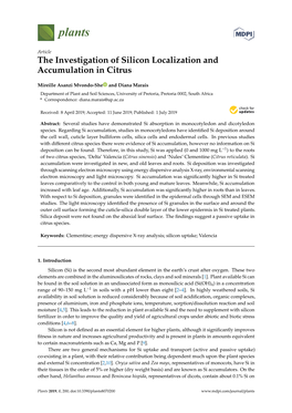 The Investigation of Silicon Localization and Accumulation in Citrus