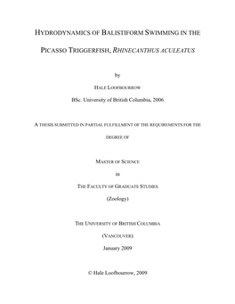 Hydrodynamics of Balistiform Swimming in the Picasso