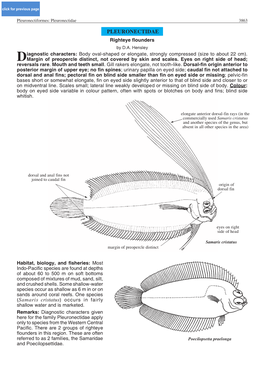 Pleuronectidae 3863