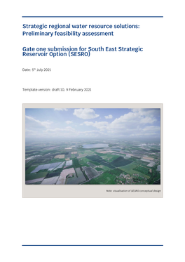 Strategic Regional Water Resource Solutions: Preliminary Feasibility Assessment Gate One Submission for South East Strategic R