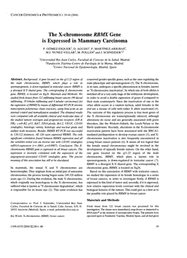 The X-Chromosome RBMX Gene Is Expressed in Mammary Carcinoma