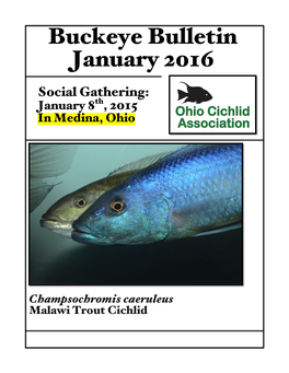 Buckeye Bulletin January 2016