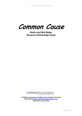 Common Cause - Final Report.Doc
