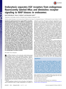 Endocytosis Separates EGF Receptors from Endogenous Fluorescently Labeled Hras and Diminishes Receptor Signaling to MAP Kinases in Endosomes