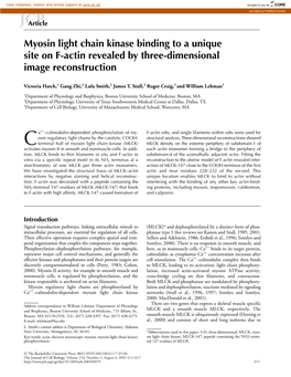 Myosin Light Chain Kinase Binding to a Unique Site on F-Actin Revealed by Three-Dimensional Image Reconstruction