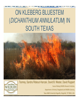 Season of Prescribed Burning on Kleberg Bluestem (Dichanthium Annulatum) in South Texas