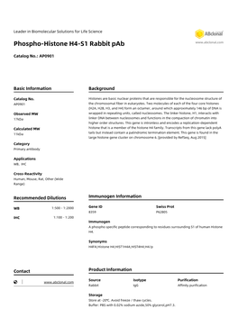 Phospho-Histone H4-S1 Rabbit Pab