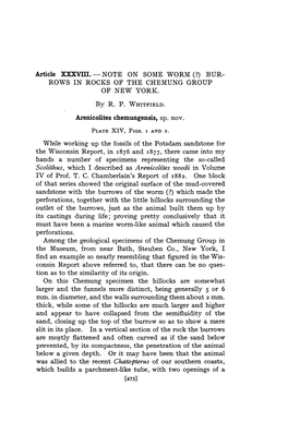 Article XXXVIII. -NOTE on SOME WORM (?) BUR- ROWS in ROCKS of the CHEMUNG GROUP of NEW YORK