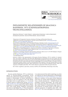 Phylogenetic Relationships of Bracenica Radoman, 1973 (Caenogastropoda: Truncatelloidea)