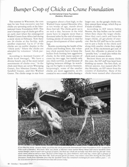 Bumper Crop of Chicks at Crane Foundation by International Crane Foundation Baraboo, Wisconsin