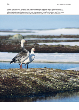 Arctic Biodiversity Assessment