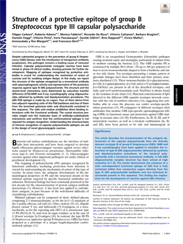 Structure of a Protective Epitope of Group B Streptococcus Type III Capsular Polysaccharide