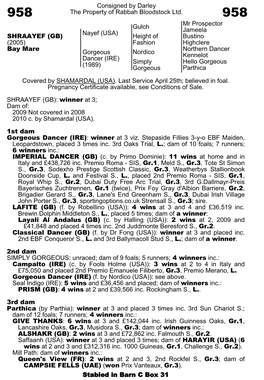 Consigned by Darley the Property of Rabbah Bloodstock Ltd. Gulch Mr