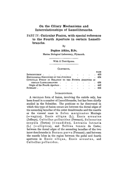 On the Ciliary Mechanisms and Interrelationships of Lamellibranchs