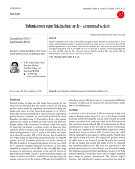 Subcutaneous Superficial Palmar Arch – an Unusual Variant