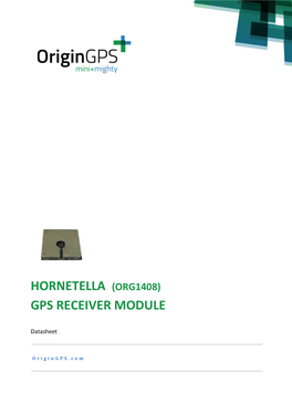 Hornetella ORG1408 GPS Receiver Module