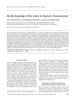 On the Homology of the Scales in Gunnera (Gunneraceae)