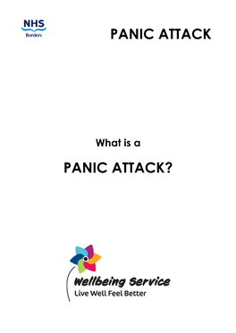 What Is a Panic Attack?