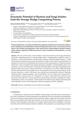 Enzymatic Potential of Bacteria and Fungi Isolates from the Sewage Sludge Composting Process